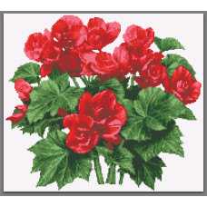 Схема під вишивку бісером "Бегонія"